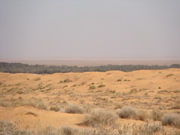 ksarghilane photo de sahara